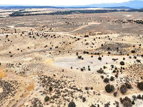 10 Acre Near Heron Lake & El Vado : Llaves : Rio Arriba County : New Mexico