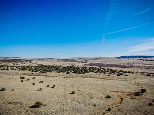 241 Morning Star Rd, Rye, CO 81069 : Rye : Huerfano County : Colorado