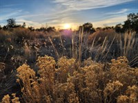 Easy Access to Zuni & Beyond : Pinehill : Cibola County : New Mexico