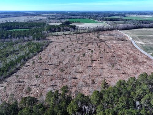 Timber and Residential Land : Fairmont : Robeson County : North Carolina