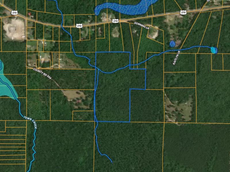 Timber-Rich 23 Acres in Malvern : Malvern : Hot Spring County : Arkansas
