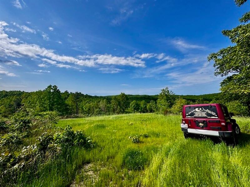50 Acre Glade : Saint Joe : Searcy County : Arkansas
