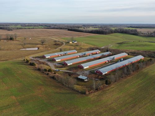 Hickory Flat Farm, Franklin, KY : Franklin : Simpson County : Kentucky