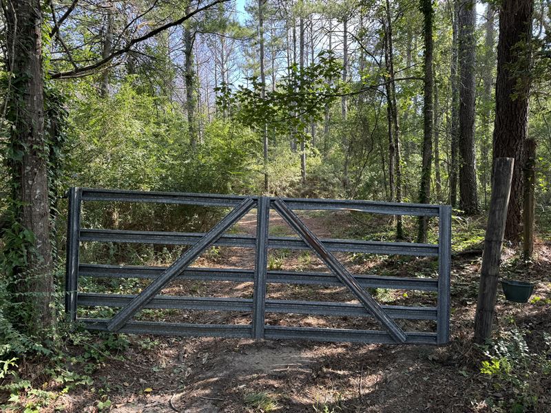 Rolling Slopes, Hunting, Fishing : Bogue Chitto : Lincoln County : Mississippi