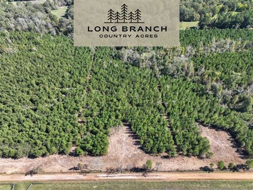 5 Acres, CR 3121, T-4 : Long Branch : Panola County : Texas