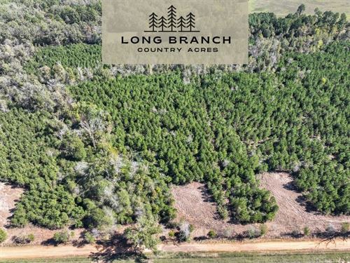 6 Acres, CR 3121, T-6 : Long Branch : Panola County : Texas