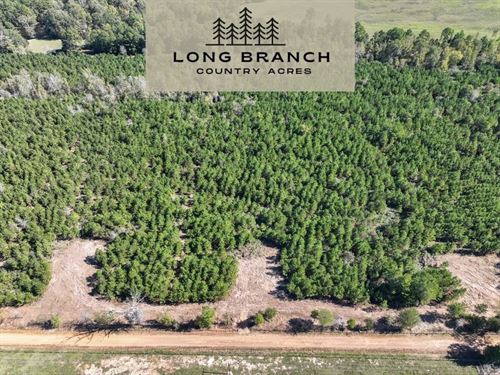 5 Acres, CR 3121, T-8 : Long Branch : Panola County : Texas