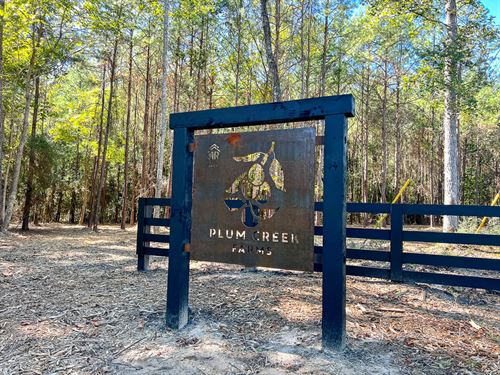 15.9 Acres, FM 350, T-10, Plum : West Livingston : Polk County : Texas