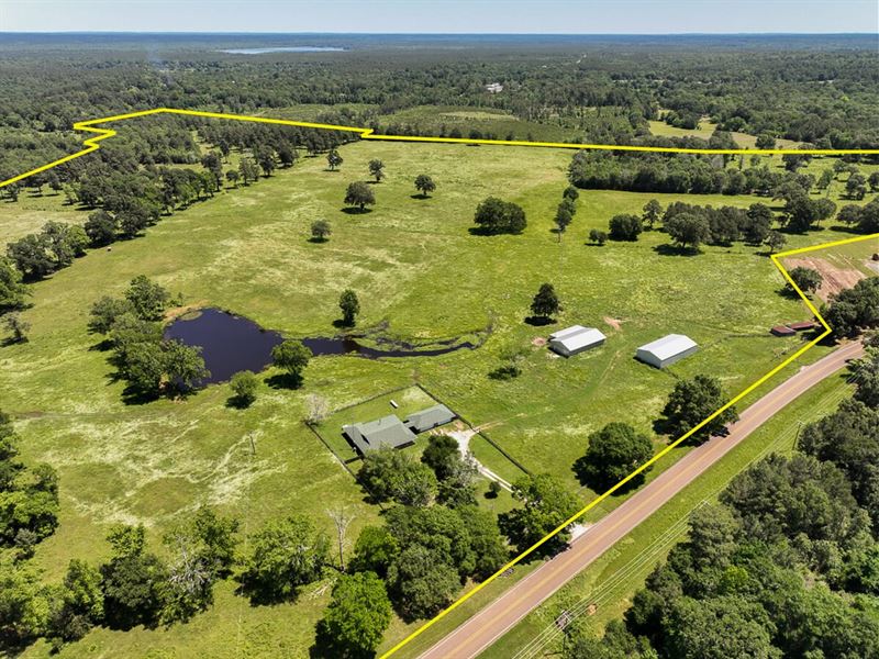 133 Acres, 5802 FM 2251 : Lufkin : Angelina County : Texas