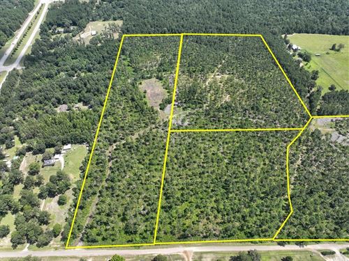 19 Acres, CR 257 & CR 258, T-3 : Jasper : Texas
