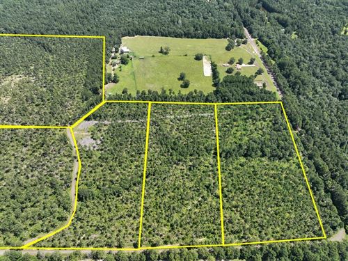 12 Acres, CR 257 & CR 258, T-4 : Jasper : Texas