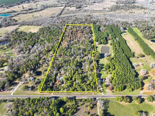 28 Acres, FM 1374 : Huntsville : Walker County : Texas