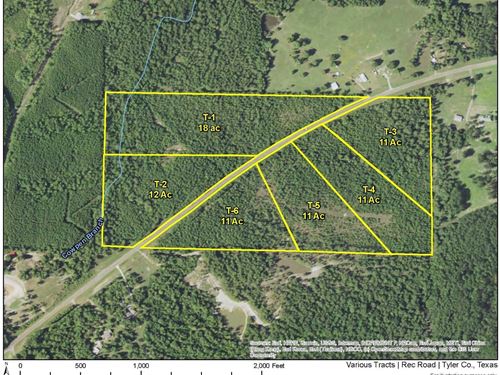 18 Acres, Rec Road 255, T-1 : Colmesneil : Tyler County : Texas