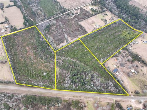 15 Acres, FM 2626 & County Road 20 : Newton : Texas