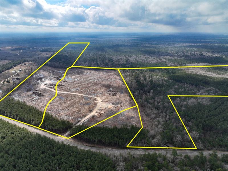 155 Acres, T-1, FM 421, 01058 : Lumberton : Hardin County : Texas