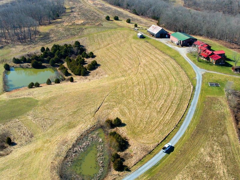 Crosley Lane Farm : Mayslick : Mason County : Kentucky