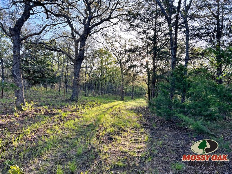 28.48 Wooded Acres in The North Tex : Muenster : Cooke County : Texas