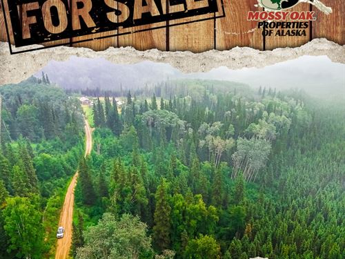 Standard Creek Recreation Area : Fairbanks : Fairbanks North Star Borough : Alaska