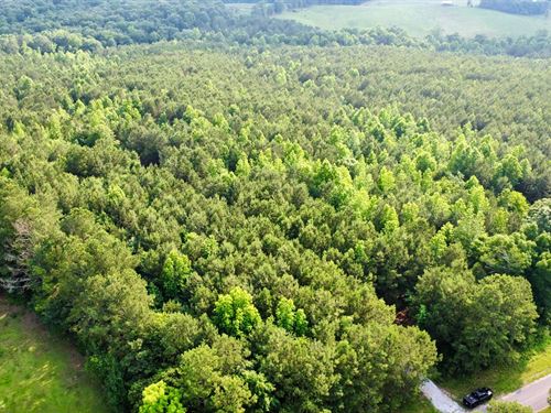 39.5 Acres Randolph County : Newell : Randolph County : Alabama
