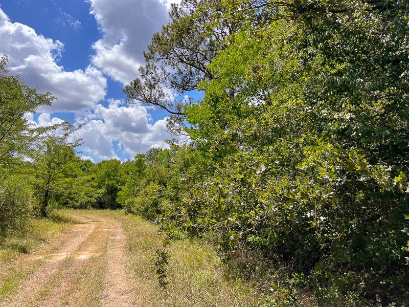 315 Acres, Batson, Texas : Batson : Hardin County : Texas