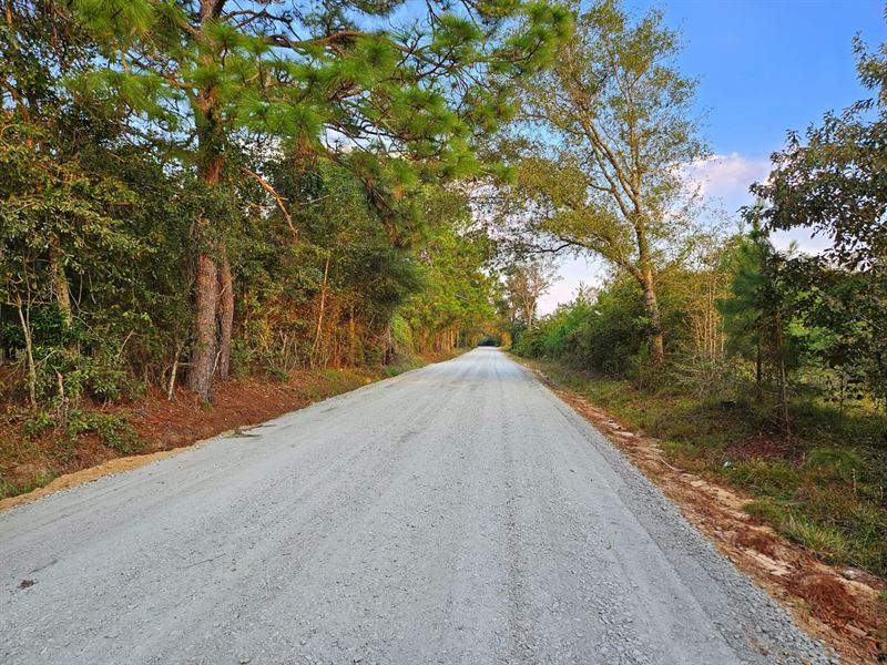 102 Ac Land for Sale Dodge Coun : Eastman : Dodge County : Georgia