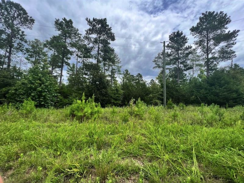 6.02 Acres Near Elberton, GA : Elberton : Elbert County : Georgia