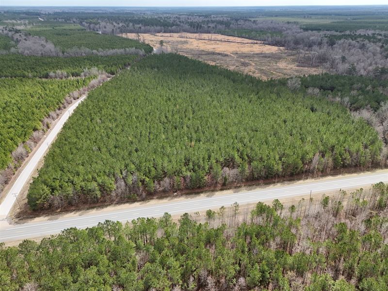 19.77 Acres in Drew County AR : Monticello : Drew County : Arkansas