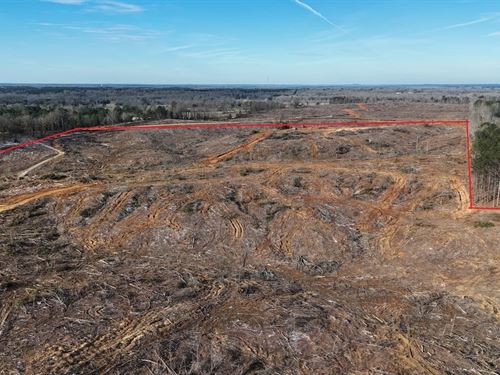 Redland Road 151.25 : Pontotoc : Mississippi