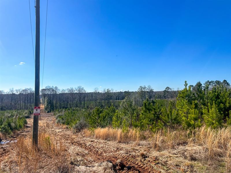 Clarke County, 236.73 Acres : Shubuta : Clarke County : Mississippi