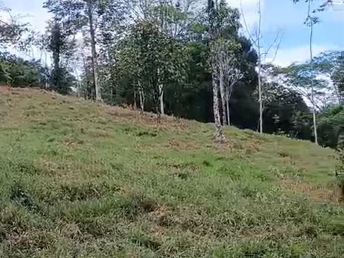 Exclusive Property for Sale : Costa Rica