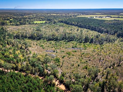 Dalark 60 Tract 2 : Dalark : Dallas County : Arkansas