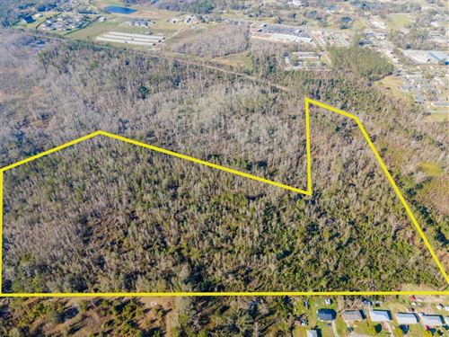 30.68 Acres of Prime Vacant Land : Madison : Florida