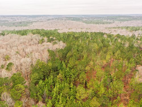 Hightower Buck And Timber : Franklin : Heard County : Georgia