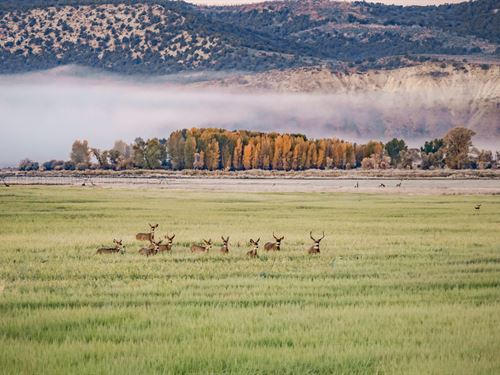 Thunder S Ranch : Craig : Moffat County : Colorado
