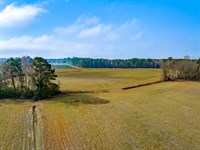 Carolina Road Tract : Green Sea : Horry County : South Carolina