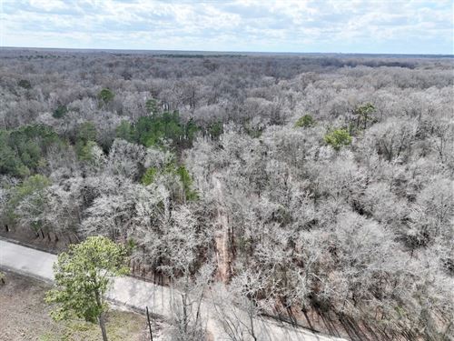 Updated, 5.38 Acres of Creekfront : Grifton : Pitt County : North Carolina