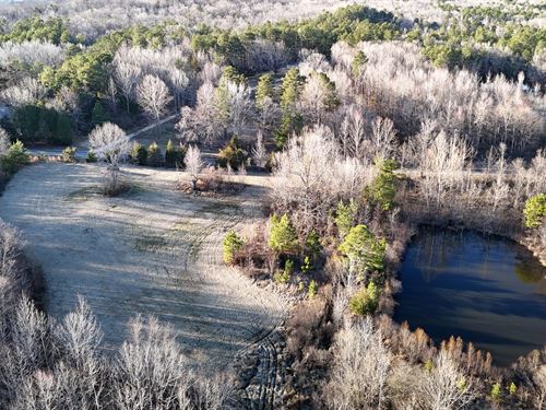 31.43 Acres In Hardeman County, TN : Toone : Hardeman County : Tennessee