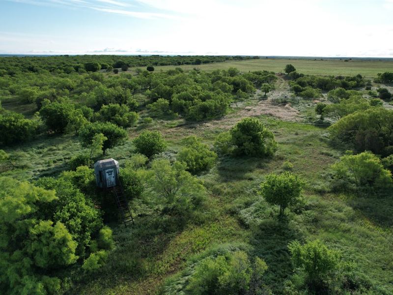 200 Acres Cottle County Texas Hunti : Childress : Cottle County : Texas