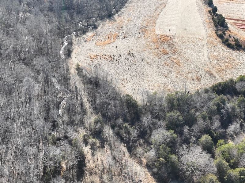 17.17 Acres of Re : Moneta : Bedford County : Virginia