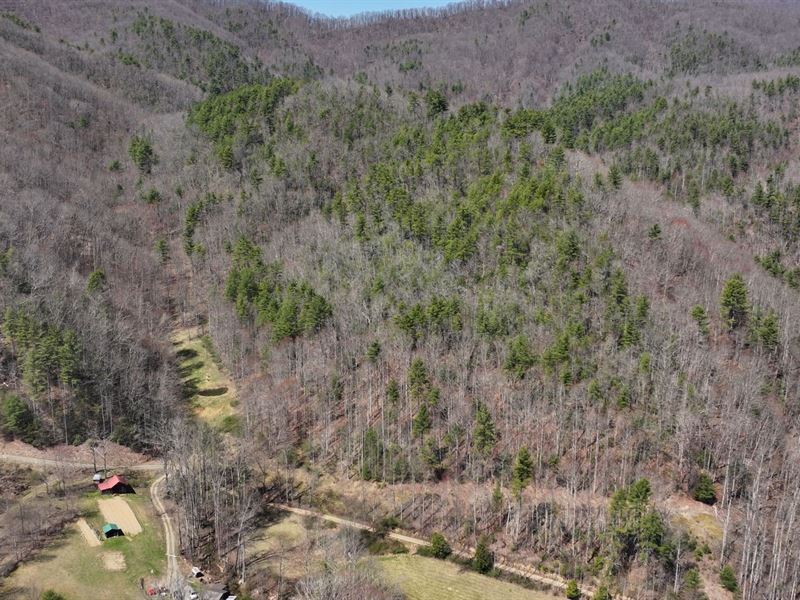 52.79 Acres in Madison County NC : Marshall : Madison County : North Carolina