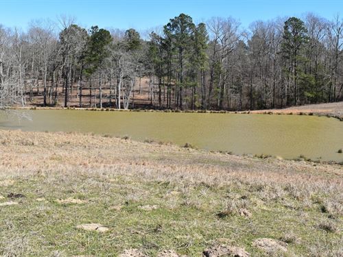 Esquire Development 1 : Mabelvale : Saline County : Arkansas