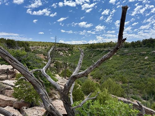 Cross Creek Canyon Ranch : Dove Creek : Dolores County : Colorado