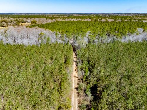418 Ac Beautiful Recreational Tract : Chipley : Washington County : Florida