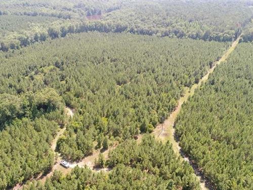 109 Ac Crenshaw Co : Patsburg : Crenshaw County : Alabama