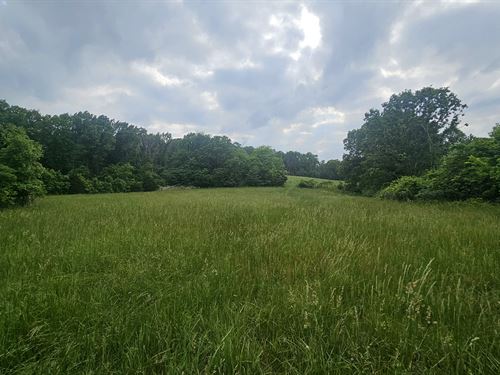 Farm & Hunting Property in Missouri : Norwood : Douglas County : Missouri