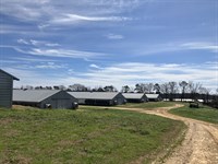 6 House Broiler Farm Prentiss, MS : Prentiss : Jefferson Davis County : Mississippi