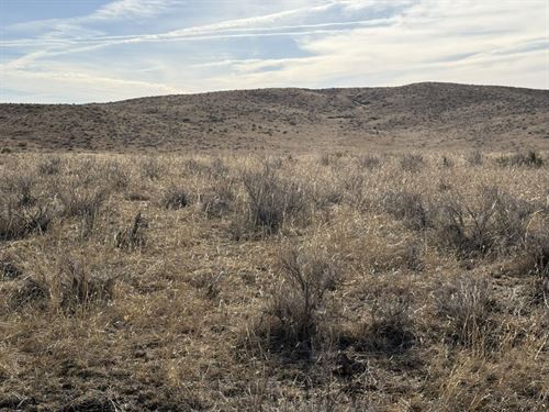 Otto E Lueking Jr South Ranch : Yuma : Colorado