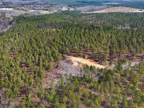 Bailey Road Tract : Silver Creek : Floyd County : Georgia