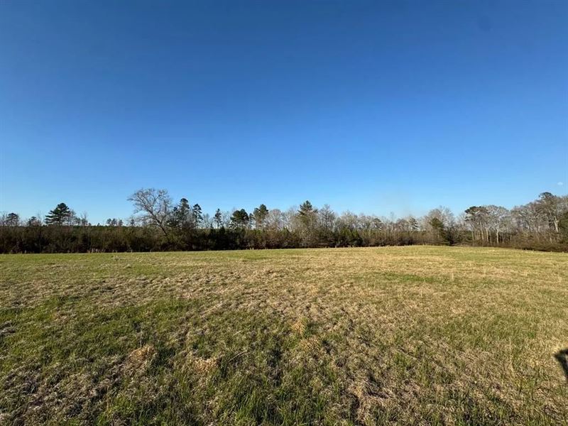 50 Ac, Duckworth Rd Sontag MS : Sontag : Lawrence County : Mississippi