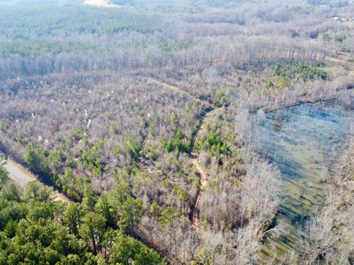 31 Acre Homesite And Recreation : Roanoke : Randolph County : Alabama